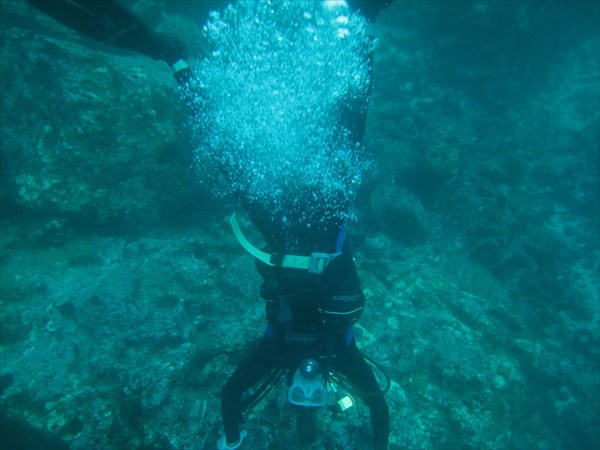 На руках по Ю. Америке Scubadiving, Galapagos islands,IMG_1140